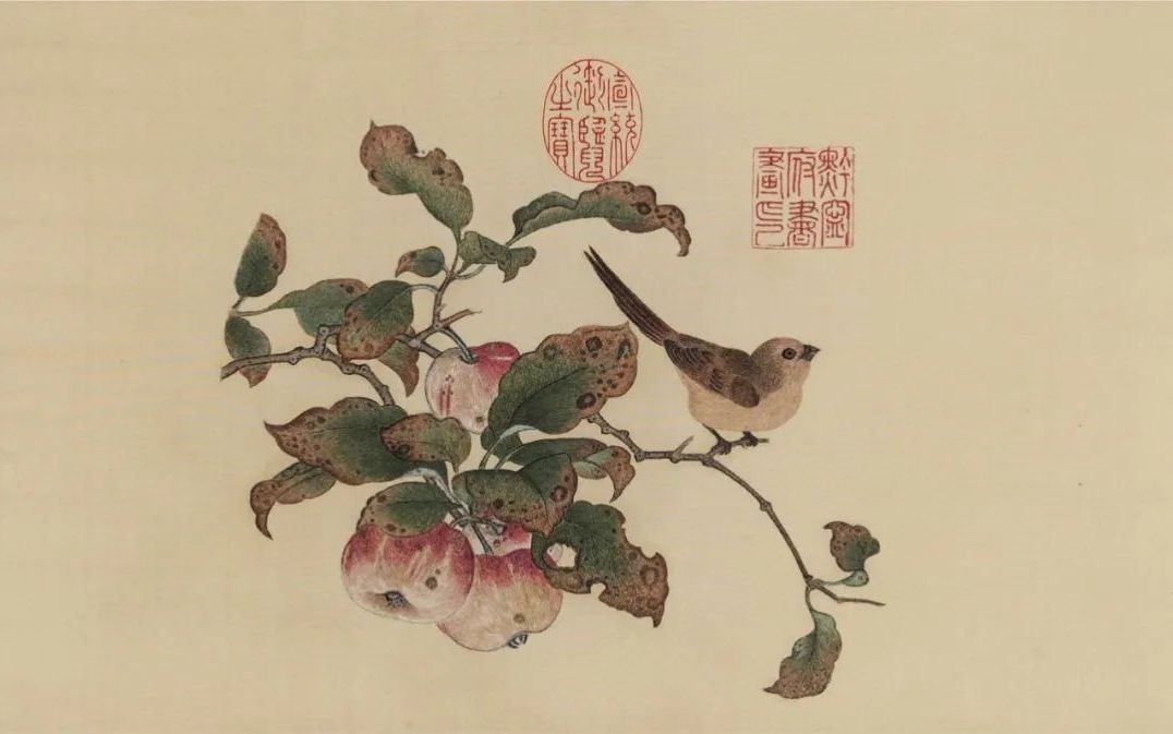 掩的组词_掩组词2个字_掩组词有哪些