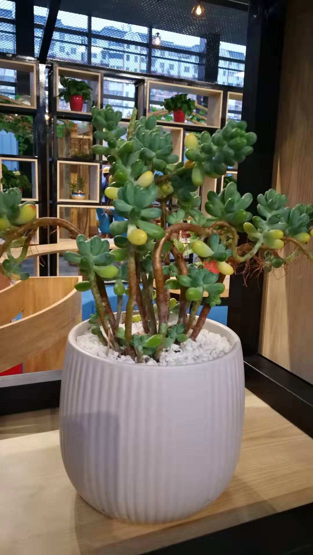 芬组词组词_市组词_模组词多音字组词mu