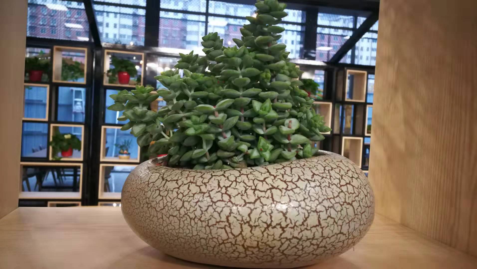 芬组词组词_模组词多音字组词mu_市组词
