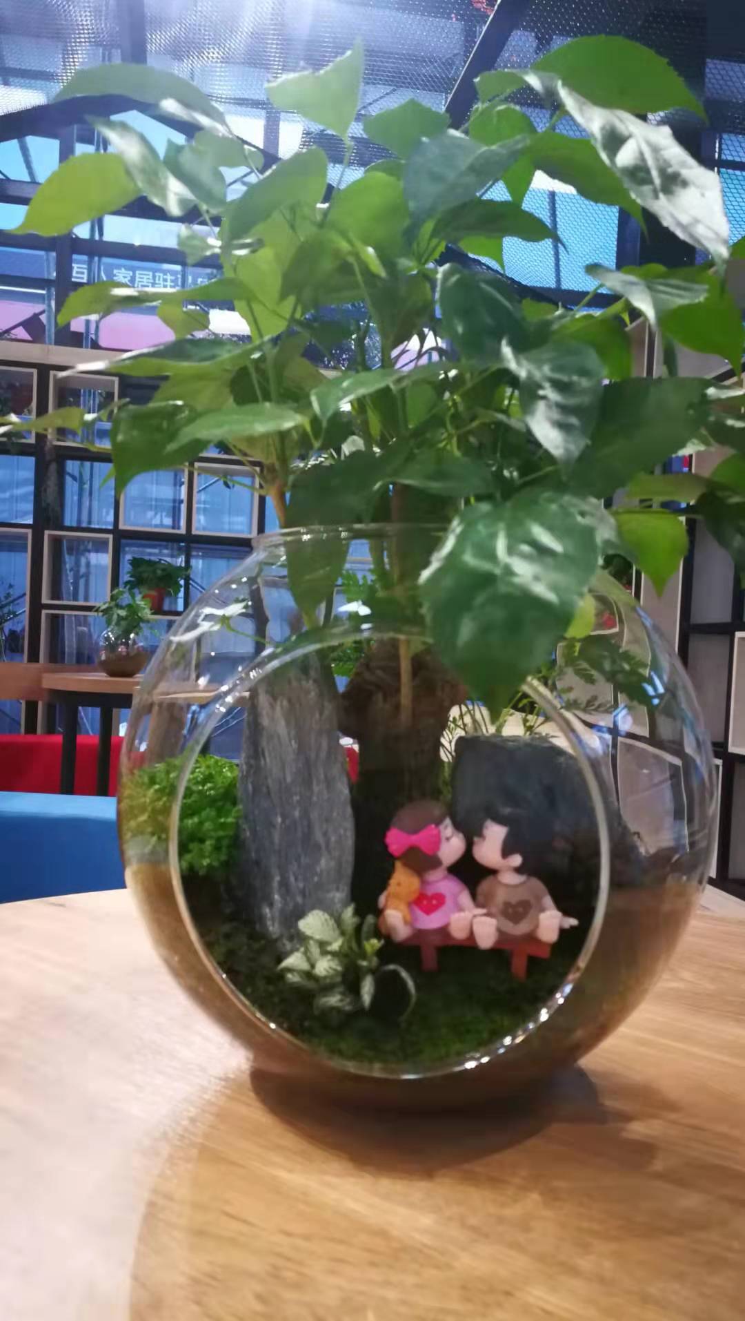 市组词_模组词多音字组词mu_芬组词组词