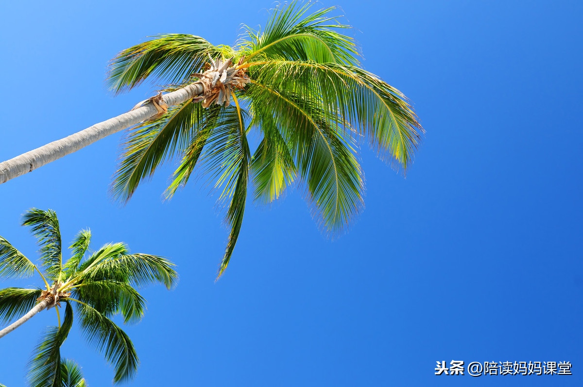 近义词两个字_近义词是什么意思_特别近义词