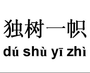 罕见反义词的成语_罕见的反义词_罕见反义词依恋反义词