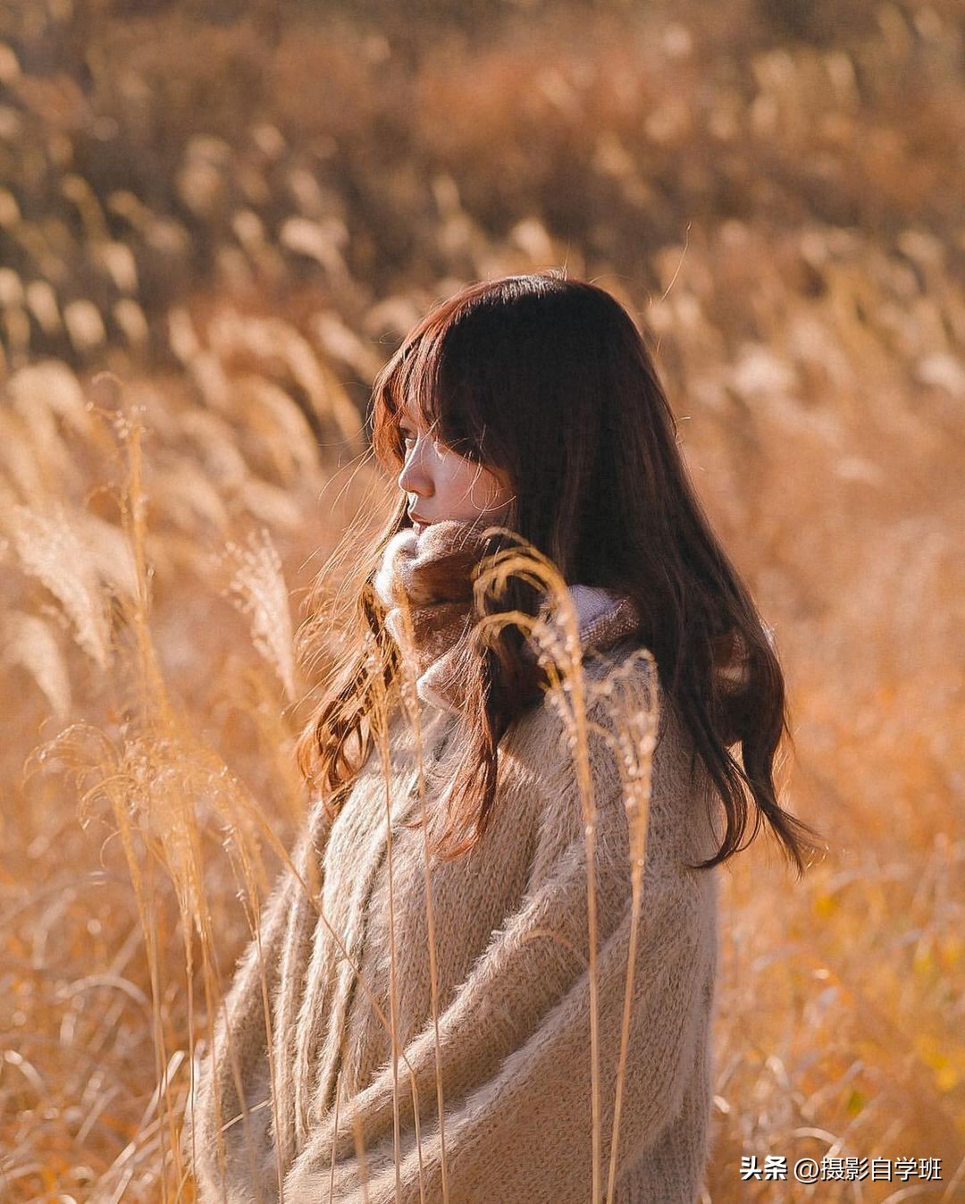 荒芜意思和近义词_荒芜的意思_荒芜意思解释