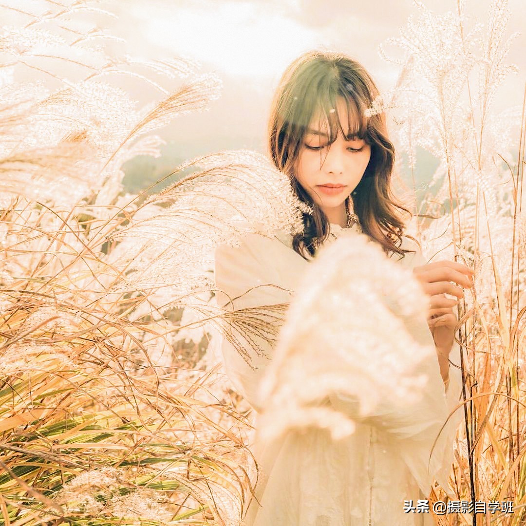 荒芜的意思_荒芜意思解释_荒芜意思和近义词