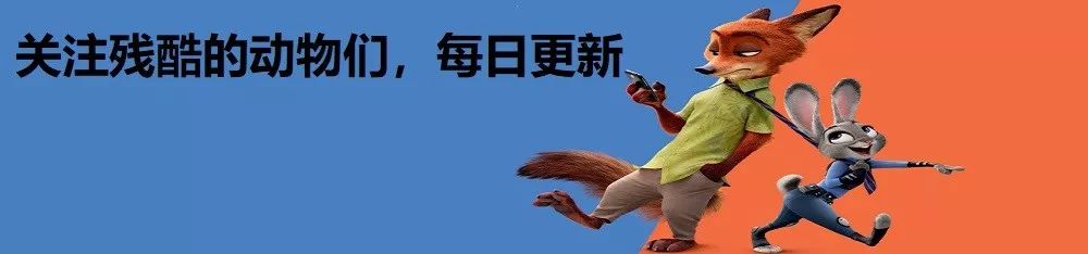 奄奄一息中的息字的意思是什么_奄奄1息的息是什么意思_奄奄一息的意思
