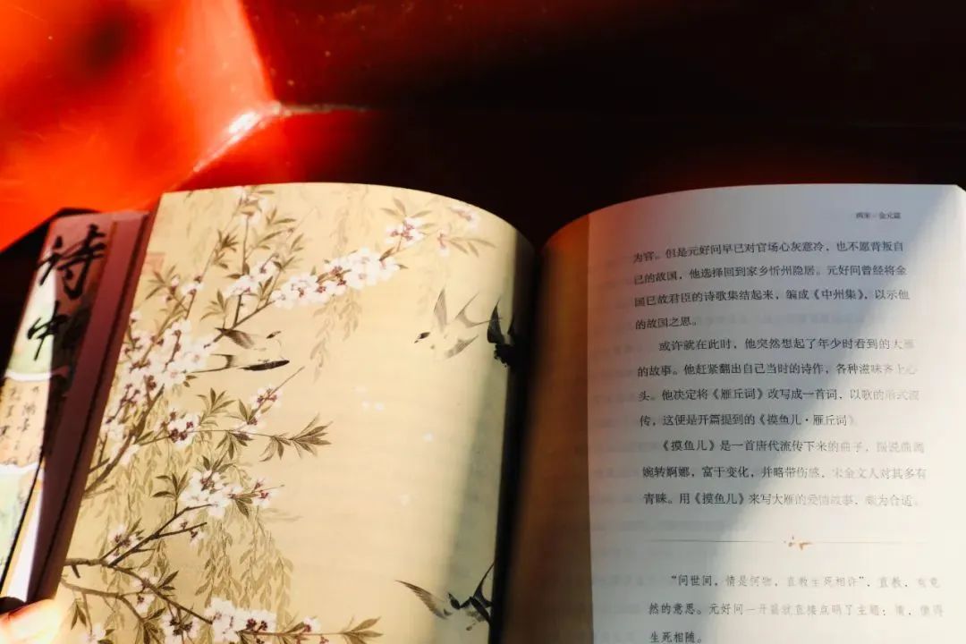 真正的拼音_拼音声母韵母26个表_拼音翻译