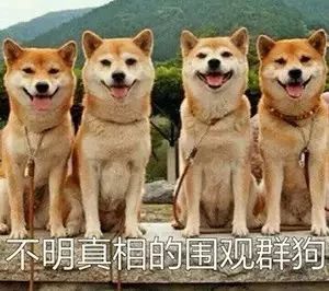 累的部首是什么部首_哀的部首是什么部首_会的部首