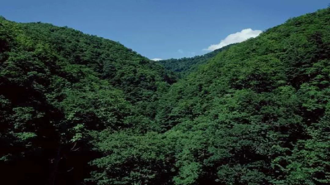 美丽的拼音_拼音美丽怎么写_美丽拼音读法