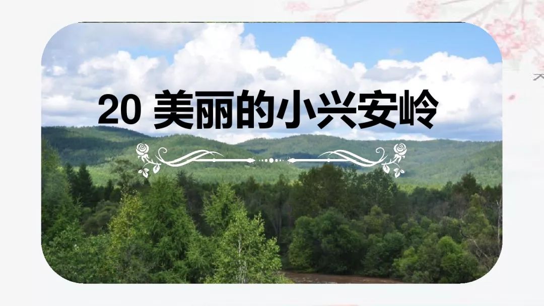 美丽拼音读法_美丽的拼音_拼音美丽怎么写