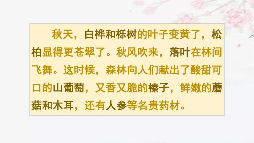 美丽的拼音_美丽拼音读法_拼音美丽怎么写