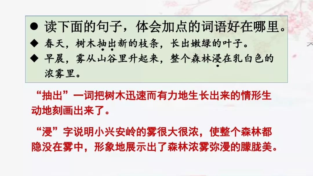 拼音美丽怎么写_美丽的拼音_美丽拼音读法