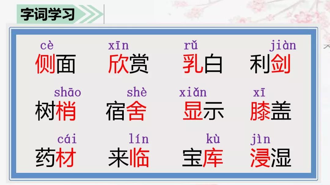 美丽的拼音_拼音美丽怎么写_美丽拼音读法