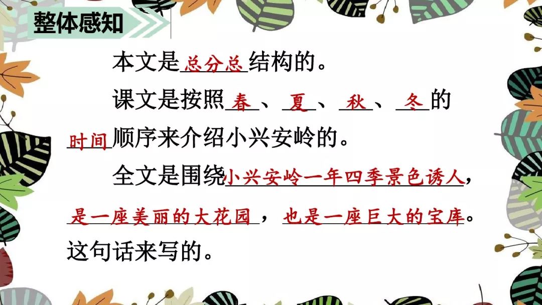 美丽拼音读法_拼音美丽怎么写_美丽的拼音