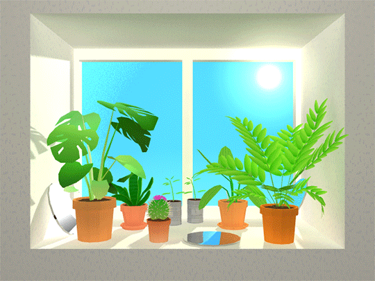 梅花的拼音_梅花拼音的正确写法_梅花拼音怎么拼写