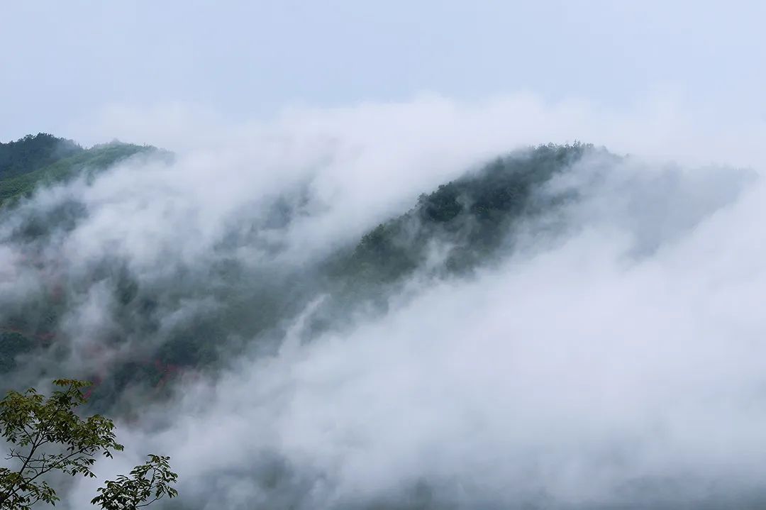 拼音的奇怪念法_拼音怪诞不经_怪诞不经的拼音