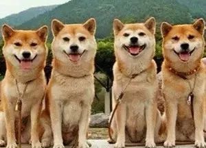 部首的拼音怎么读_部首读什么_彐部首怎么读