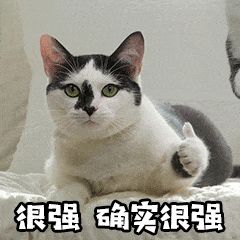 图钉网_图钉网_图钉网
