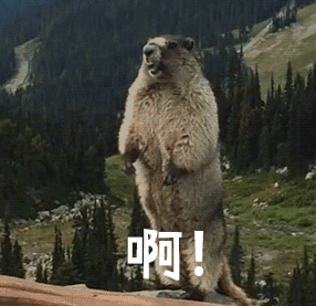 拼音热血_热的拼音_拼音热忱