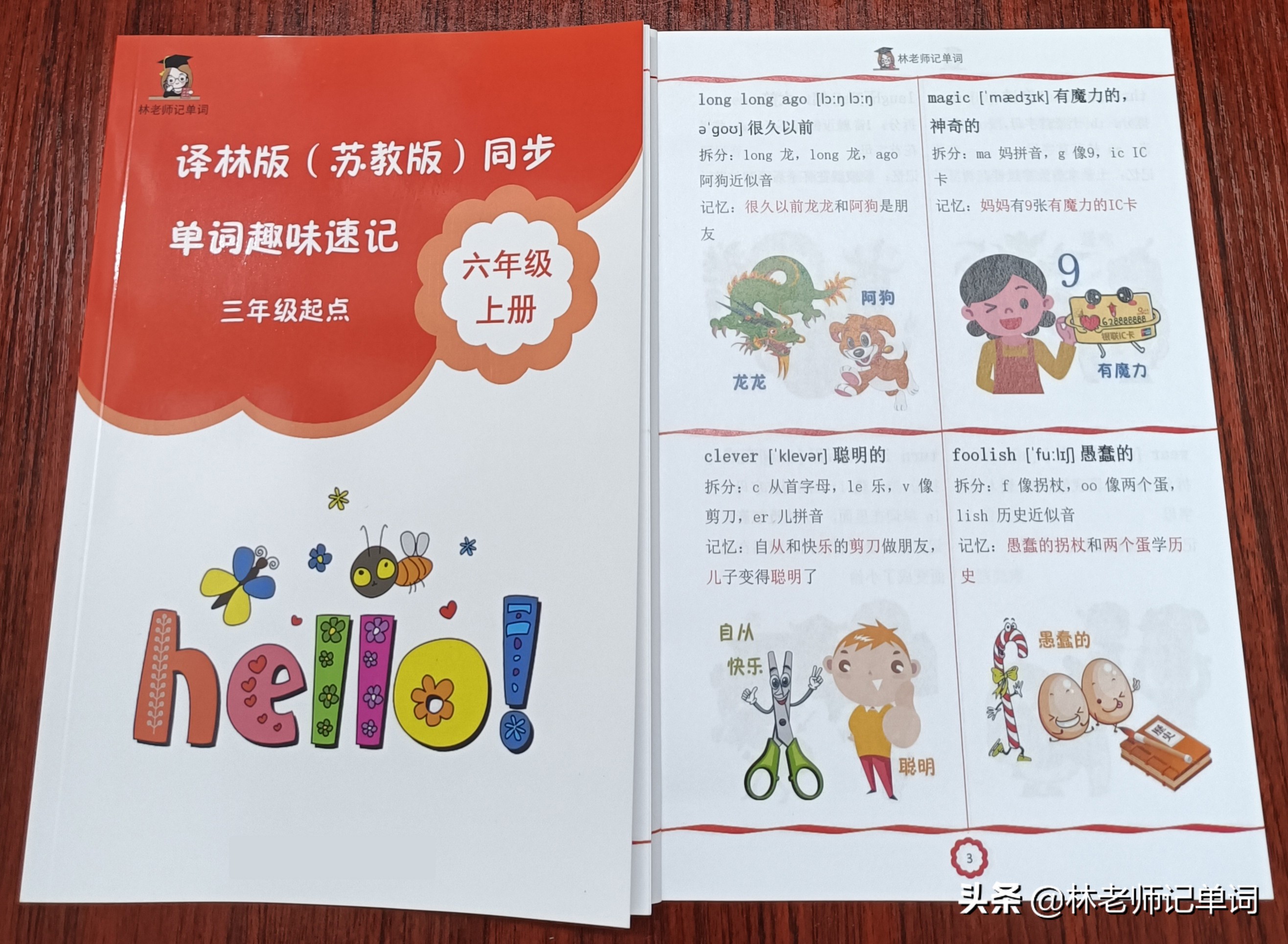 兔的拼音_拼音兔子图片_拼音兔子的拼音是什么