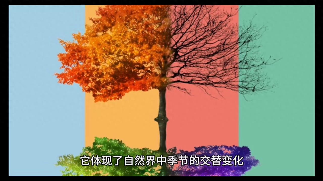 作组词语_鹃组词语_坪组词语