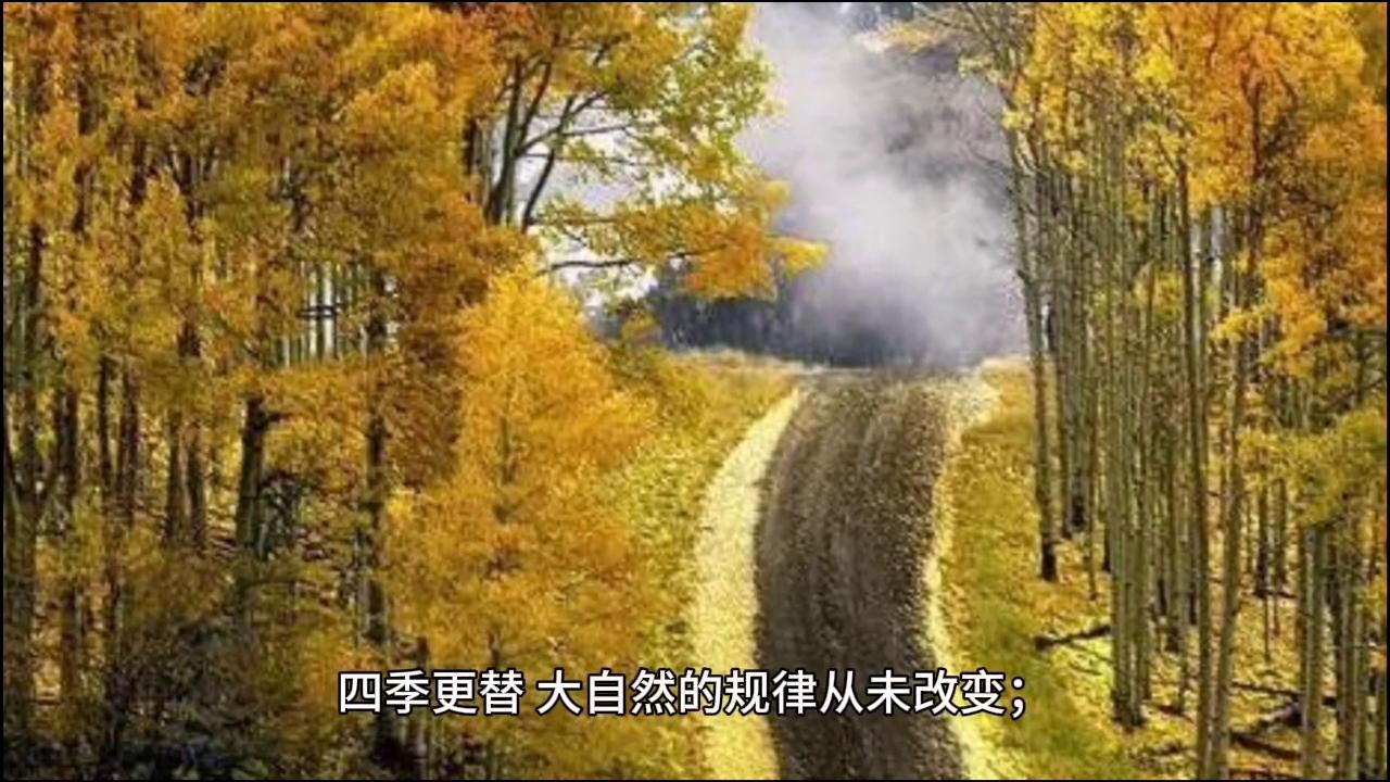 坪组词语_作组词语_鹃组词语