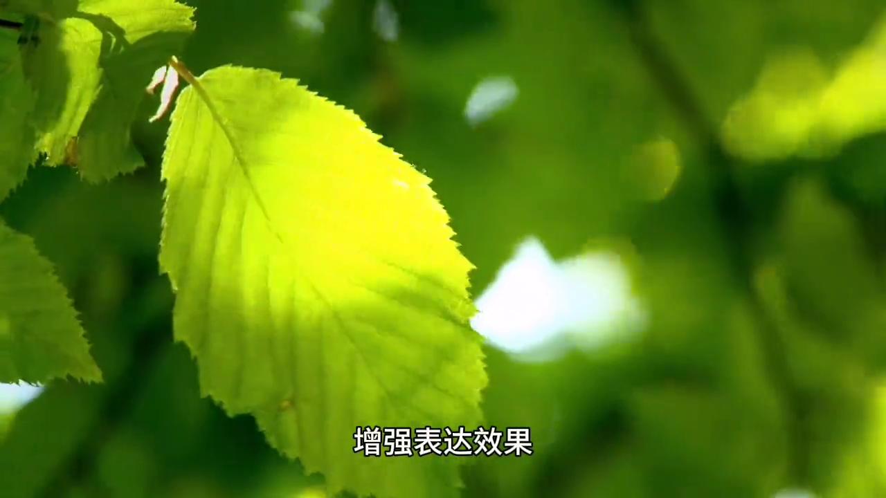 坪组词语_鹃组词语_作组词语