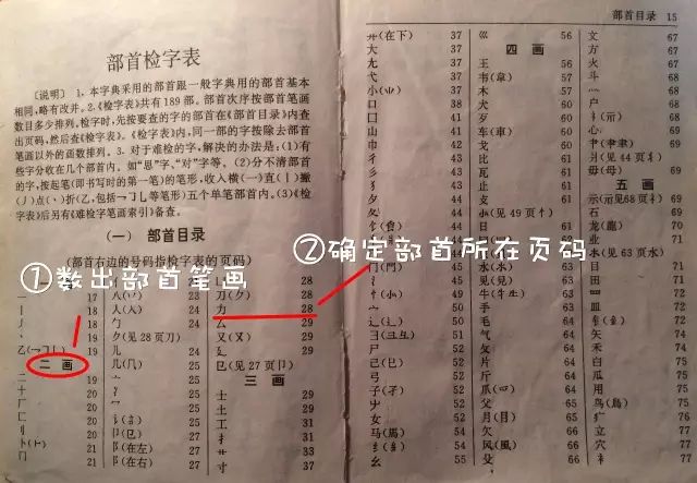 丽的笔顺_丽笔顺是_鹂笔顺