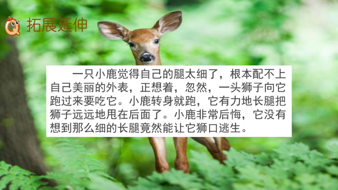 拼音等于几_拼音等待_等的拼音