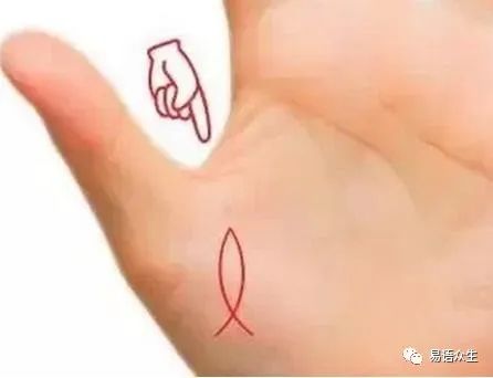 手相大师阿迪亚是什么电影_手相大师_手相大师下载