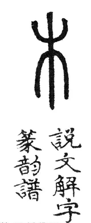 木香顺气丸功效作用与主治_木乃伊_则木