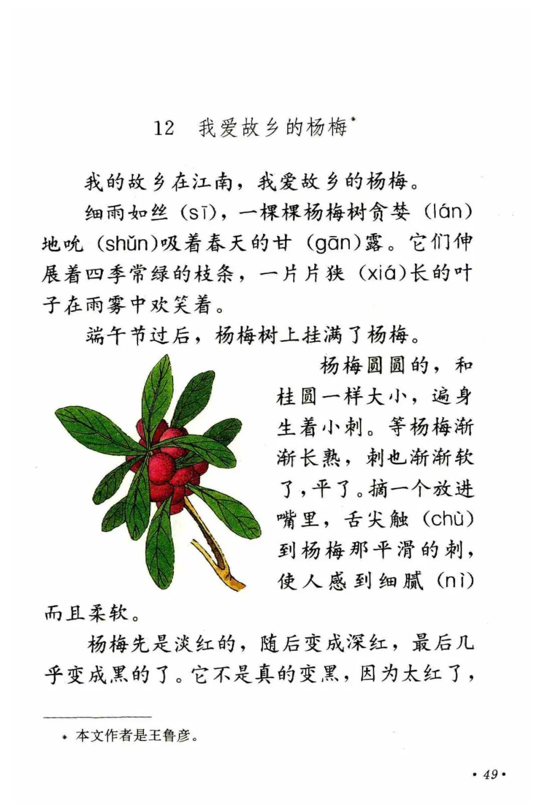 傍午是中午的意思吗_傍午的意思是什么时候_午傍什么意思