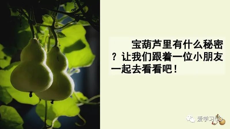主动反义词有哪些2个_主动反义词标准答案_主动的反义词