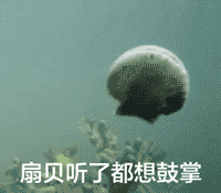 扇贝网官网_扇贝网_扇贝网登陆