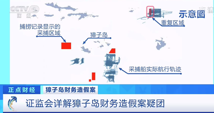 扇贝网官网_扇贝网登陆_扇贝网