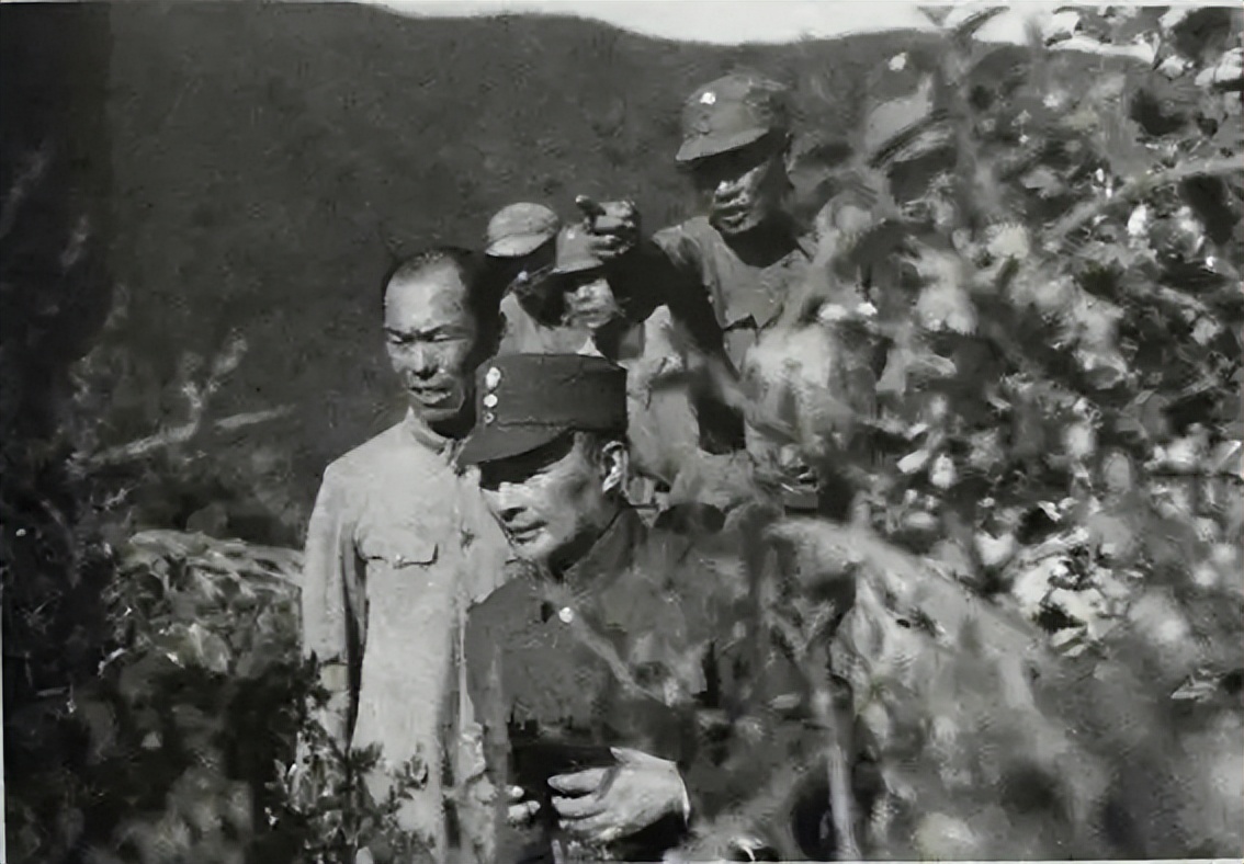 知妖_妖知道自己是妖吗_妖知道