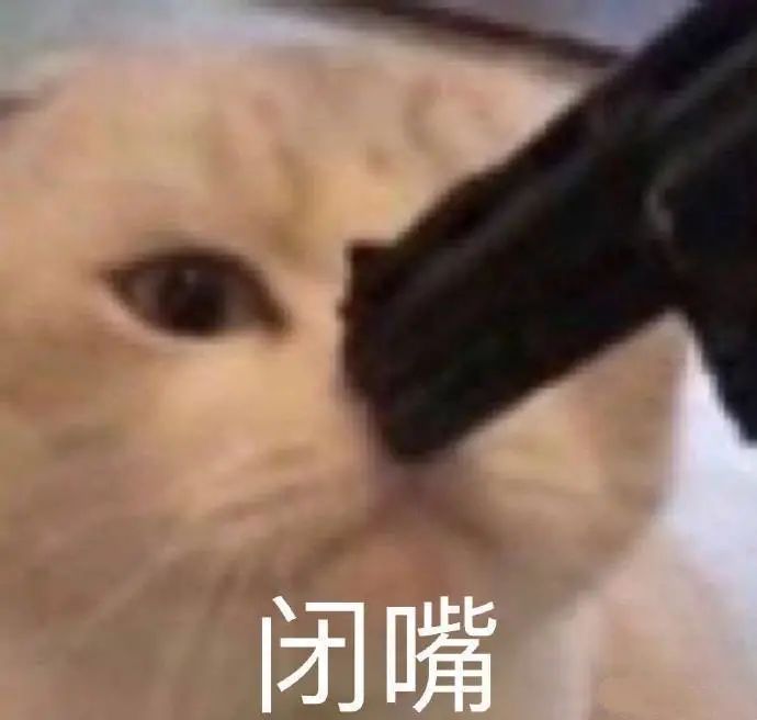 搜狐畅游百度百科_狐搜畅游官网网址_搜狐畅游官网