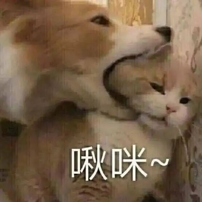 搜狐畅游官网_搜狐畅游百度百科_狐搜畅游官网网址