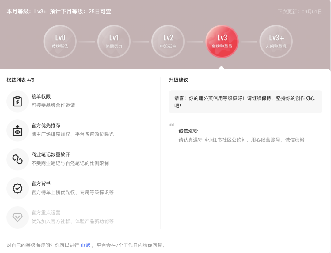 小红书蒲公英_蒲公英红色_蒲公英小红书