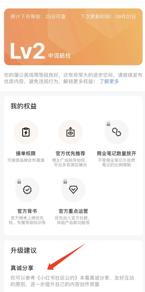 蒲公英红色_蒲公英小红书_小红书蒲公英