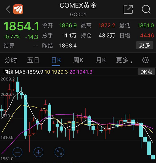 鹤唳风声什么意思_风声鹤唳_鹤风声唳相对应的成语