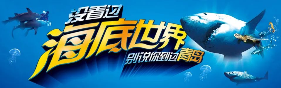 视频虚拟背景怎么做的_视频虚拟相机_3158虚拟视频