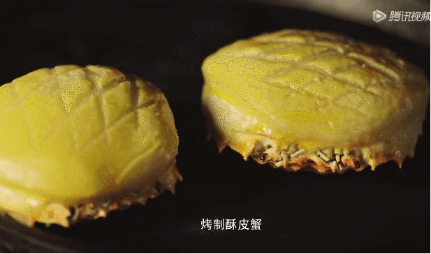 纪录片家园观后感_纪录片家园个人感悟_纪录片之家