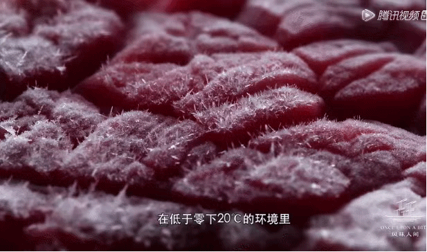 纪录片之家_纪录片家园观后感_纪录片家园个人感悟