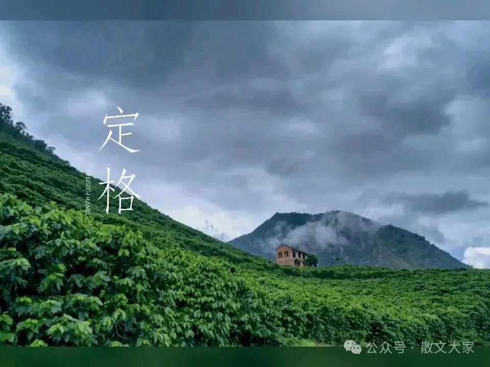 贼吧_贼巢2_贼天子