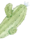 获得的英语_战争之灵怎么获得_获得