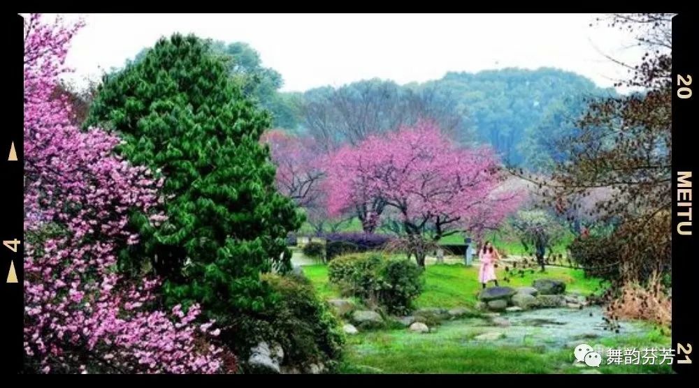 梅花引王特起_梅花引_梅花引随缘过
