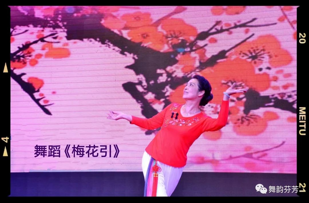 梅花引_梅花引王特起_梅花引随缘过