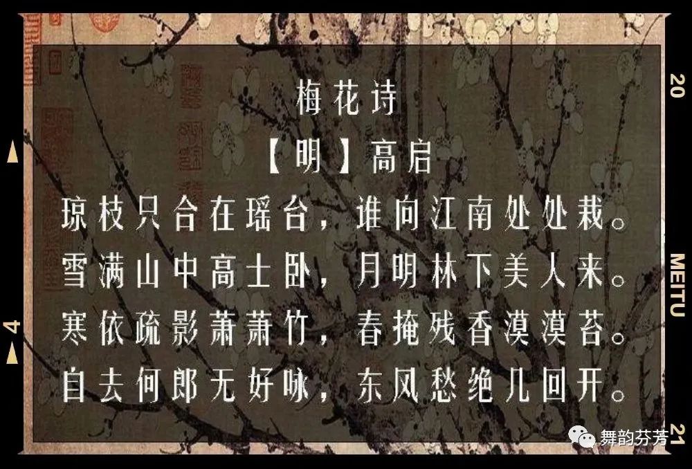 梅花引随缘过_梅花引王特起_梅花引