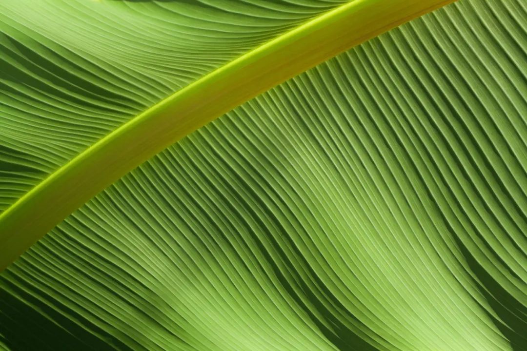 上学_上学路上_上学歌