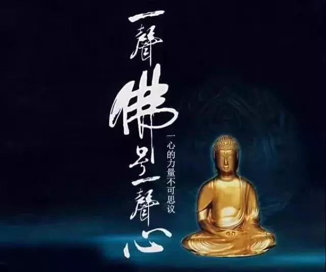 属鸡2019年运势_生肖属鸡2019年的运势_2019年属鸡人的运势